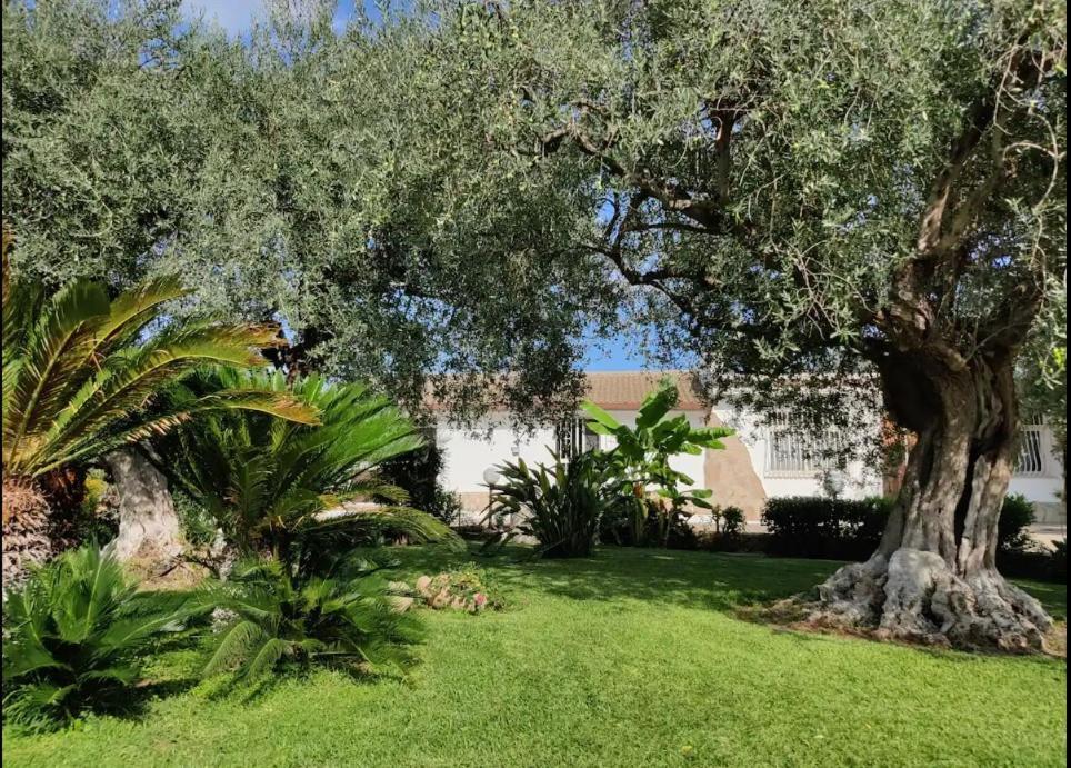 Villa Antonella Augusta Extérieur photo